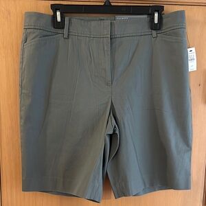 Talbots Women's Perfect Short 9.5’’ New Sage Green Size 12P Petite